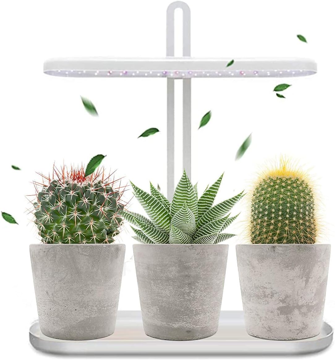 Smart Indoor Garden – Hydroponic Plant Growing Kit