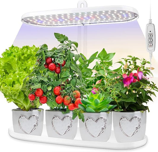 Smart Indoor Garden – Hydroponic Plant Growing Kit
